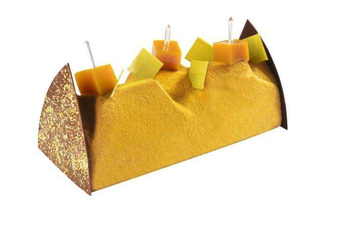 Christmas log 2013 in Paris : discover the 'buche de Noel'