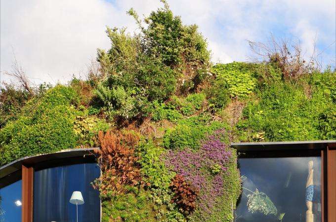 Rendez-vous Musée du Quai Branly