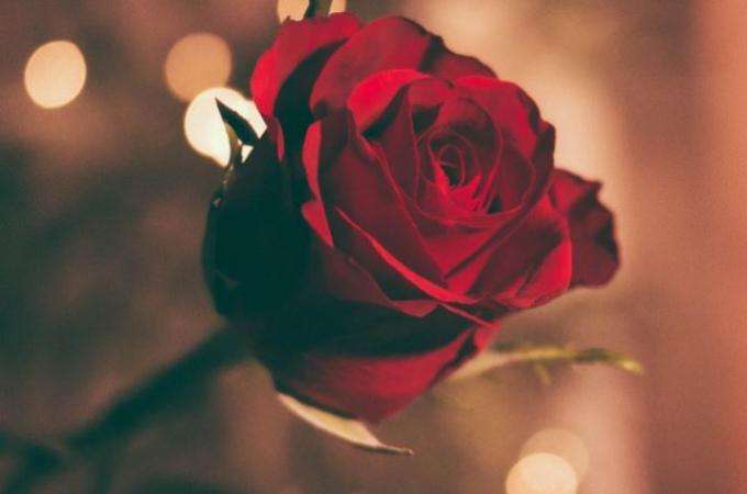 Une Saint Valentin élégante et sensuelle au Vice Versa