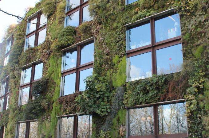 Les nouvelles expositions du Musée du Quai Branly